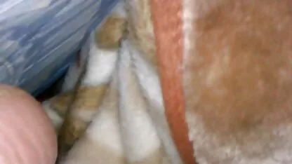 Αδελφοί και αδελφές xxx latina